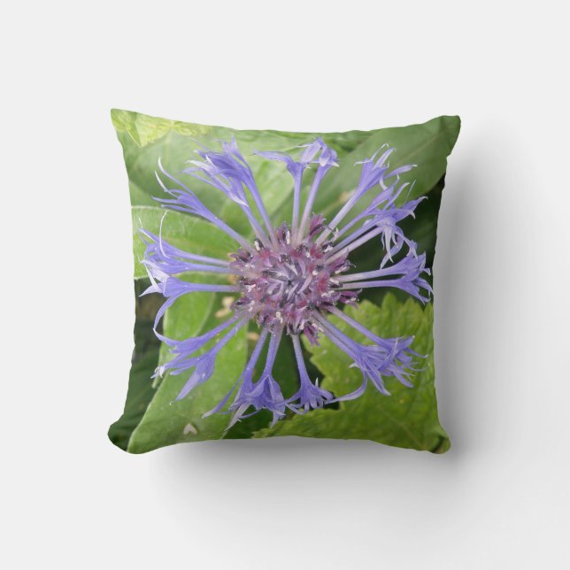 Almofada Travesseiro de Cornflower azul (Frente)