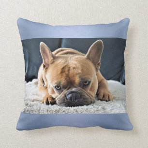 Almofada travesseiro de Cushion de Bulldog Francês Azul