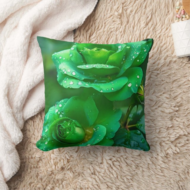 Almofada Travesseiro de Decoração de Casa Aconchegante com  (Cobertor)
