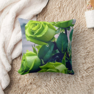 Almofada Travesseiro de Decoração de Casa Aconchegante com 