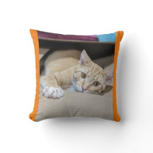 "Travesseiro de Gato de Cor Laranja Cozy - Charme 