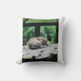 Almofada Travesseiro de Gato Grande Dormindo