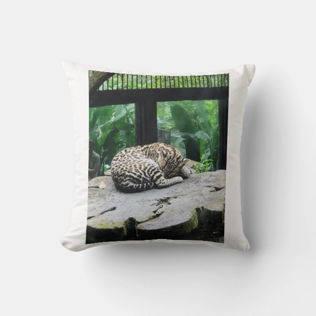 Almofada Travesseiro de Gato Grande Dormindo (Frente)