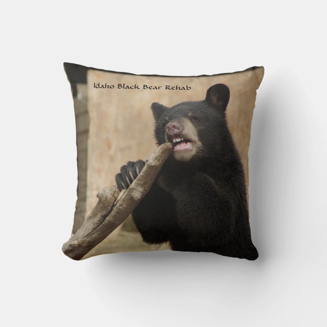 Almofada Travesseiro de Lanikai (Frente)