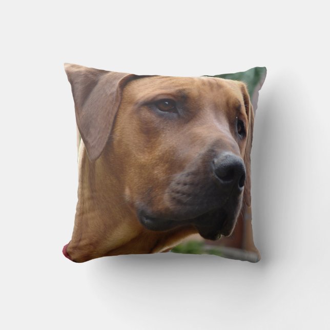 Almofada Travesseiro de Rhodesian Ridgeback (Frente)