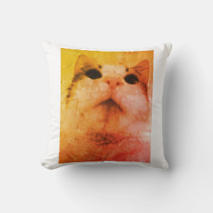 Almofada Travesseiro de Sonhos de Gato Louco