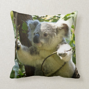 Almofada Travesseiro de Urso Koala