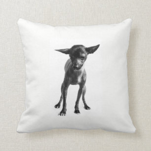 Almofada Travesseiro de Xoloitzcuintle