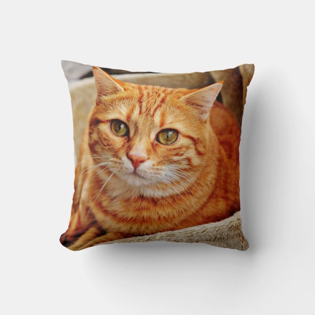 Almofada Travesseiro decorativo 16" x 16" (Frente)