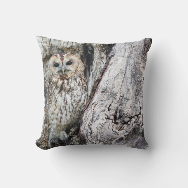 Almofada Travesseiro decorativo 16" x 16" (Frente)