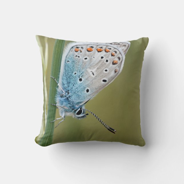 Almofada Travesseiro decorativo 16" x 16" (Frente)