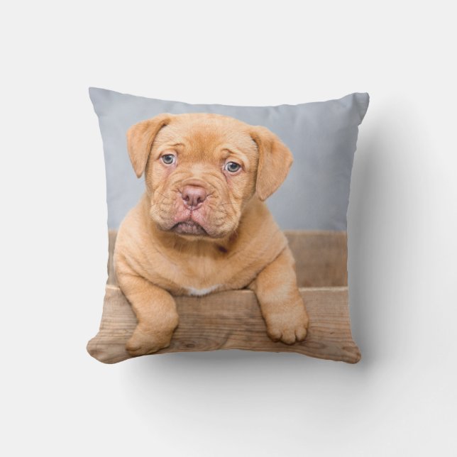 Almofada Travesseiro decorativo 16" x 16" (Frente)