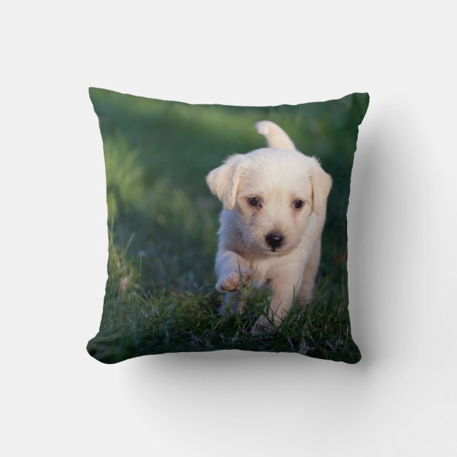 Almofada Travesseiro decorativo 16" x 16" (Frente)