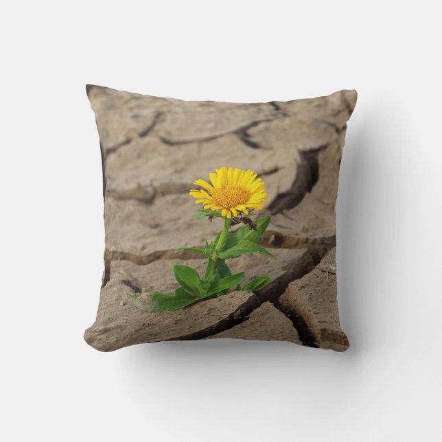 Almofada Travesseiro decorativo 16" x 16" (Frente)