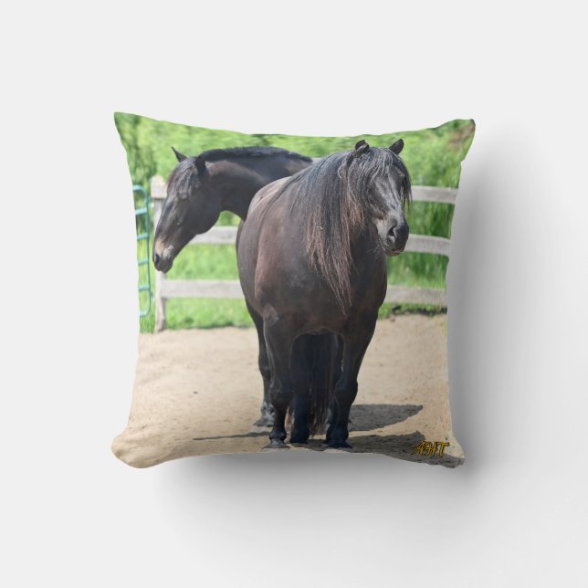Almofada Travesseiro decorativo AHT (Frente)