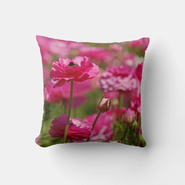 Almofada Travesseiro decorativo ao quadrado com Design Ranu (Frente)