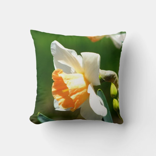 Almofada Travesseiro decorativo Apricot Daffodil (Frente)