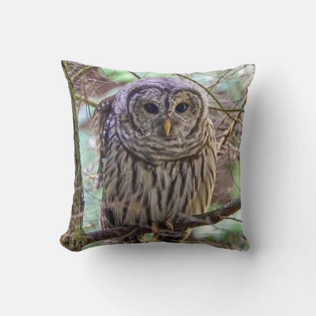 Almofada Travesseiro decorativo Barred Owl (Frente)