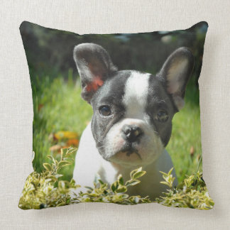 Almofada Travesseiro decorativo bonito do filhote de