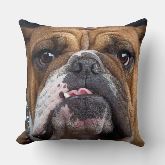 Almofada Travesseiro Decorativo Bulldog Inglês (Frente)