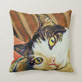 Almofada Travesseiro decorativo colorido do gato
