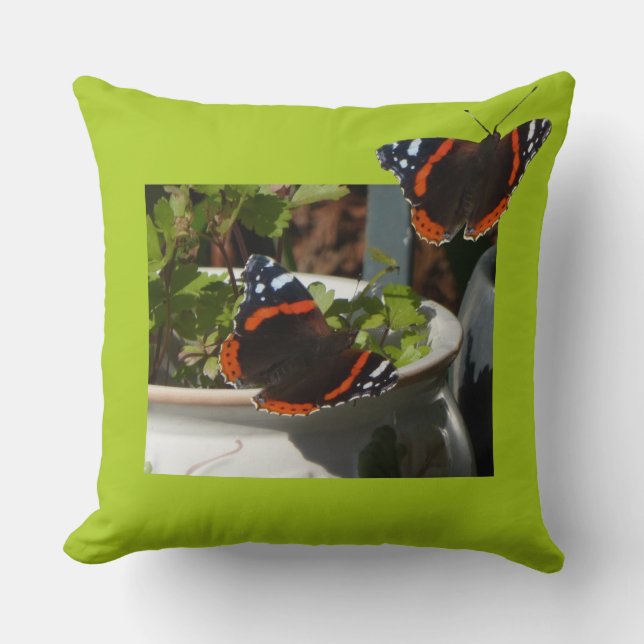 Almofada Travesseiro Decorativo com Borboleta Almirante Ver (Frente)