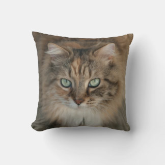 Almofada travesseiro decorativo com um lindo gato de olhos 