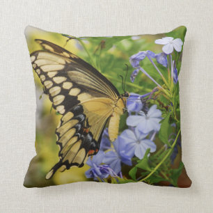 Almofada Travesseiro decorativo da borboleta de Swallowtail