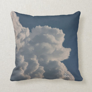 Almofada Travesseiro decorativo da caniche da nuvem