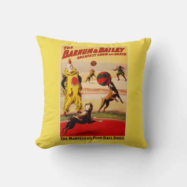 Almofada TRAVESSEIRO DECORATIVO DE ALGODÃO 16" x BARNUM E B (Frente)