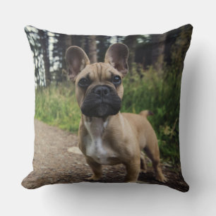 Almofada Travesseiro decorativo de Buldogue Francês
