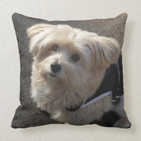 Travesseiro decorativo de Cachorro