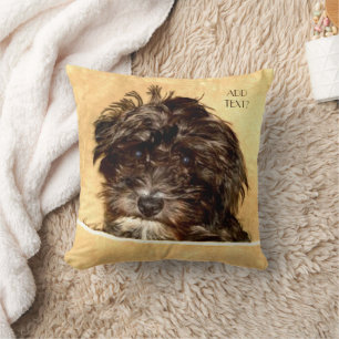 Almofada Travesseiro Decorativo de Cachorro Schnoodle com T