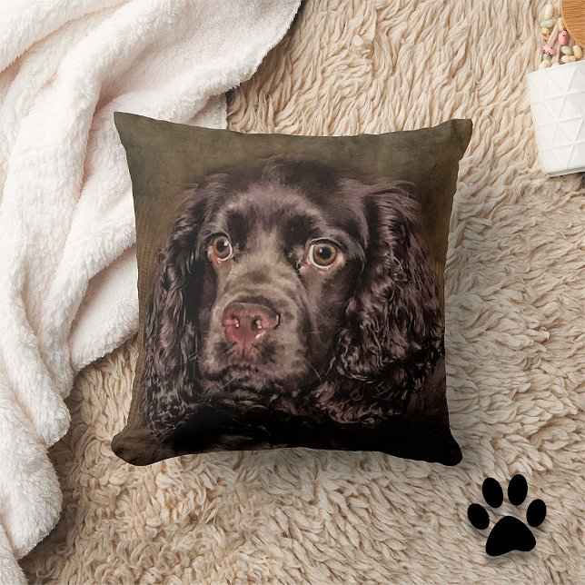 Almofada Travesseiro decorativo de Chocolate Cocker Spaniel (Criador carregado)