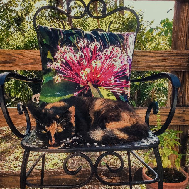 Almofada Travesseiro decorativo de Flores do Clerodendrum S (Criador carregado)