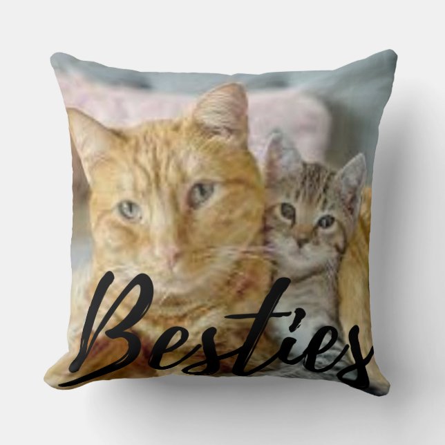 Almofada Travesseiro decorativo De Gatos (Frente)