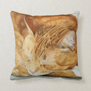 Almofada Travesseiro decorativo de Ginger Cat Square