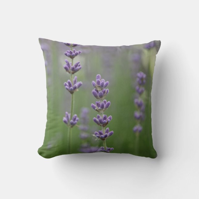 Almofada Travesseiro decorativo de Lavanda de Daî (Frente)