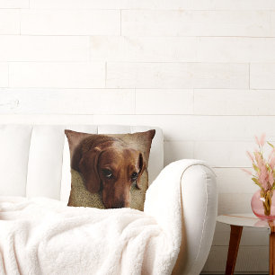 Almofada Travesseiro decorativo de retrato Dachshund