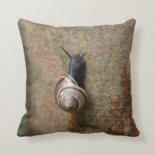Almofada Travesseiro decorativo do caracol