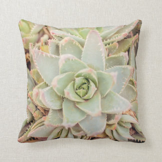 Almofada Travesseiro decorativo do Deserto Aloe