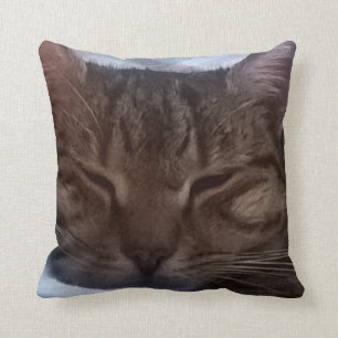Almofada Travesseiro decorativo do gato