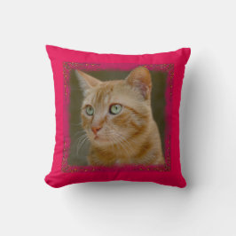 Almofada Travesseiro decorativo do gato do gengibre