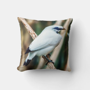 Almofada Travesseiro decorativo do pássaro de Bali Myna