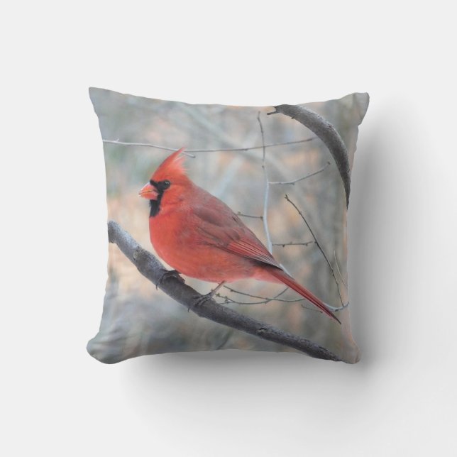 Almofada Travesseiro decorativo do perfil cardinal do norte (Frente)