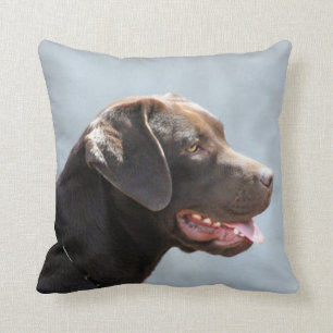 Almofada Travesseiro decorativo do quadrado do cão de