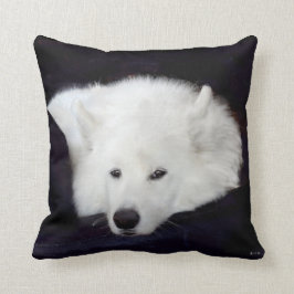 Almofada Travesseiro decorativo do Samoyed: Escolha de