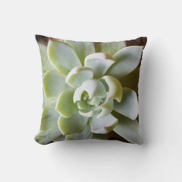 Almofada Travesseiro decorativo do Succulent