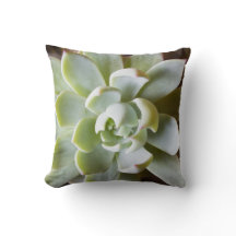 Travesseiro decorativo do Succulent