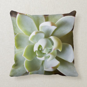 Almofada Travesseiro decorativo do Succulent